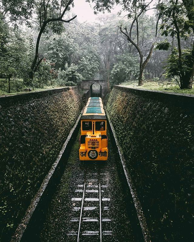 Sanjay Gandhi National Park